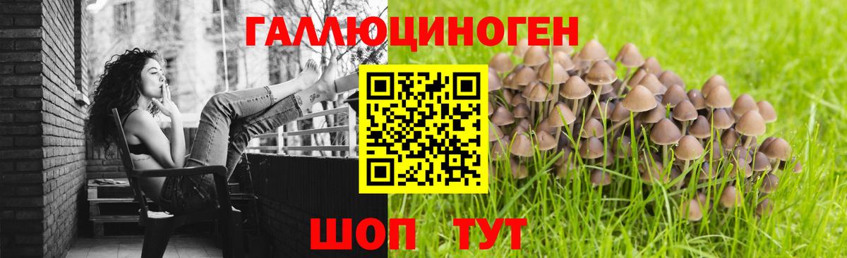 Псилоцибиновые грибы Psilocybe  Вход с VPN  Галлюциногенные грибы мицелий  Артёмовский 